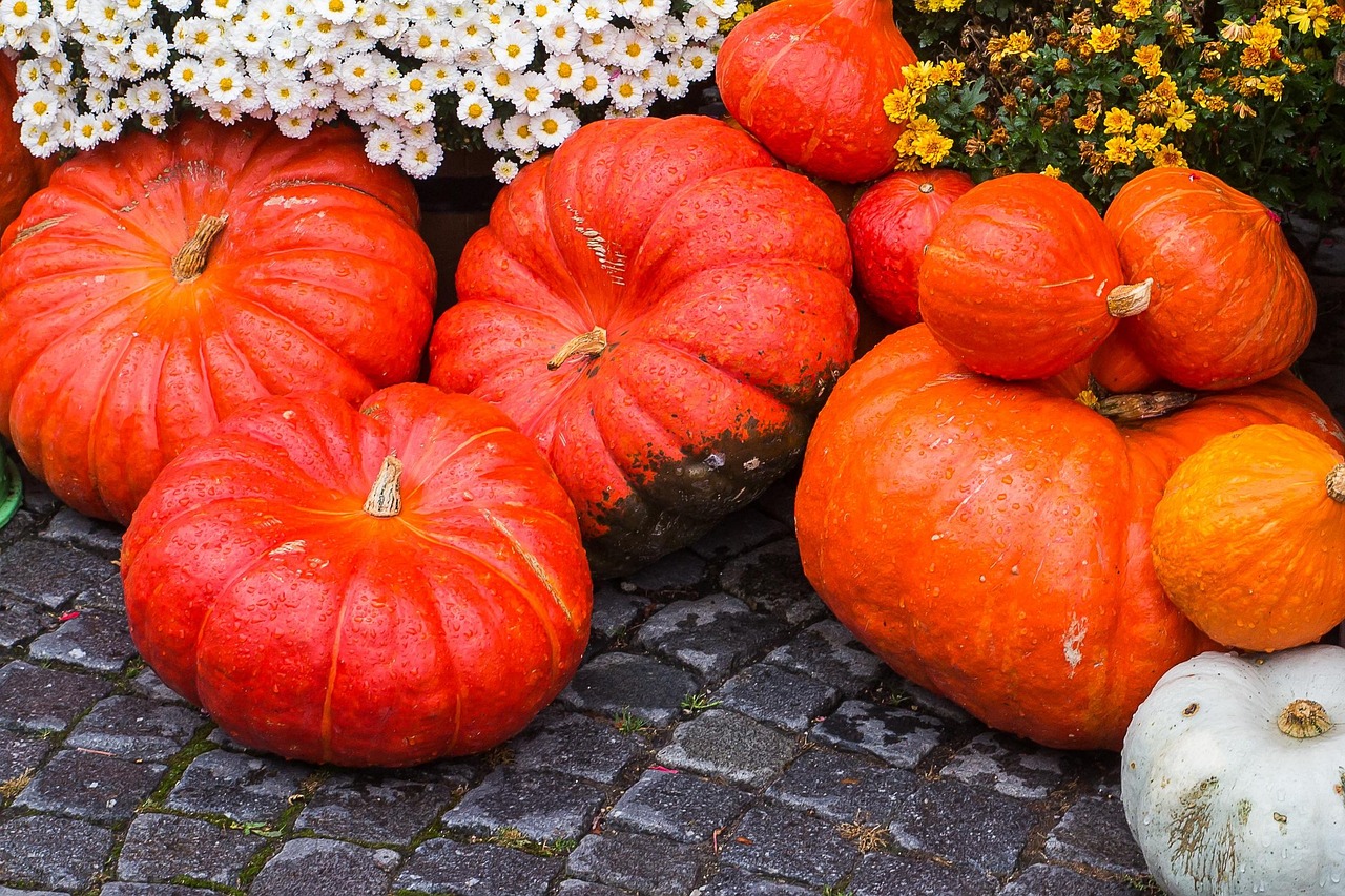 Create Texture Barriers That Confuse Their Senses (Image Credits: Pixabay)