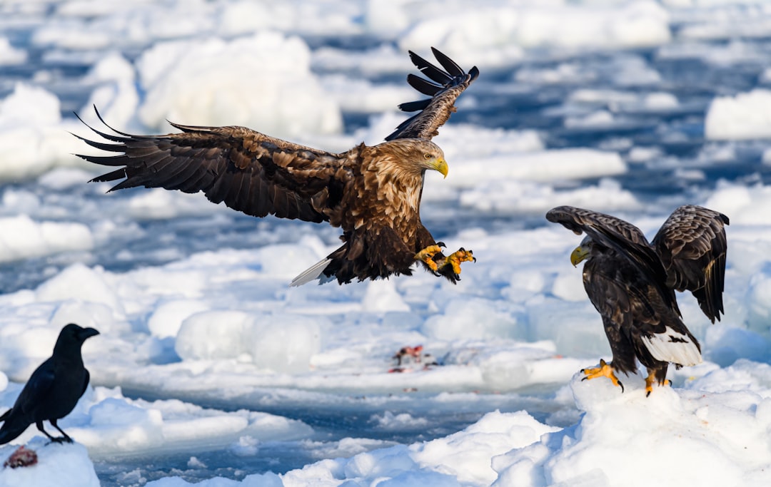 Specialized Combat Adaptations (Image Credits: Unsplash)