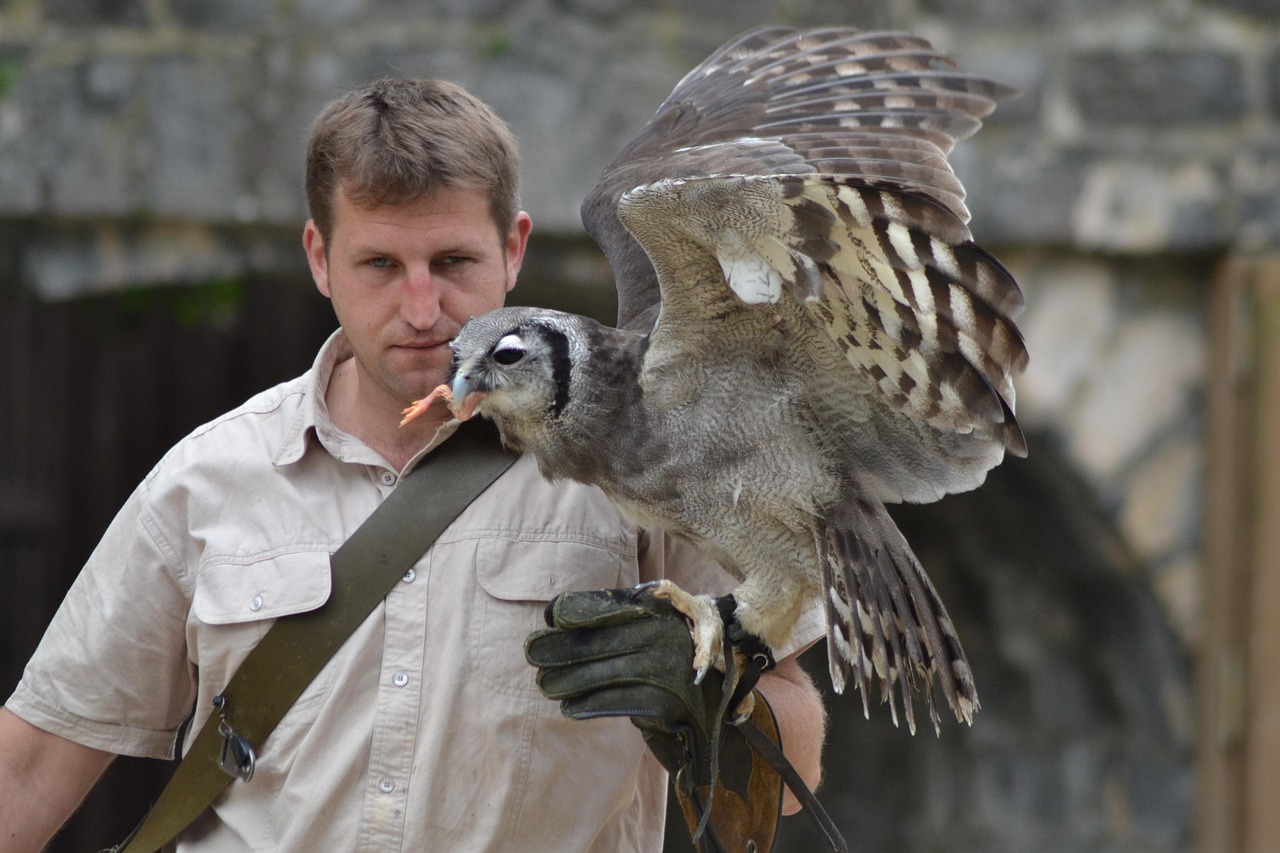 Conclusion: The Perfect Owl Companion (Image Credits: Pixabay)