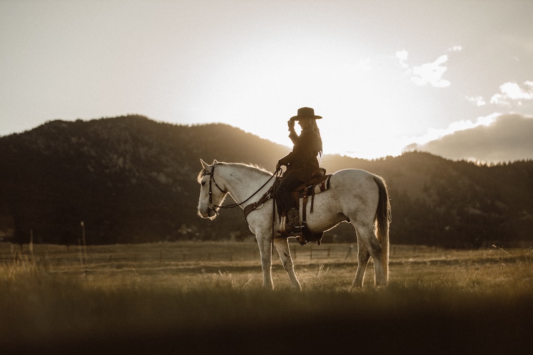 Horses Gallop Through Country Music's Heart (Image Credits: Unsplash)