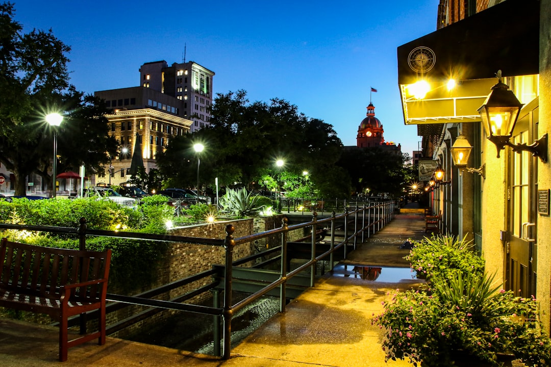 Savannah, Georgia (Image Credits: Unsplash)