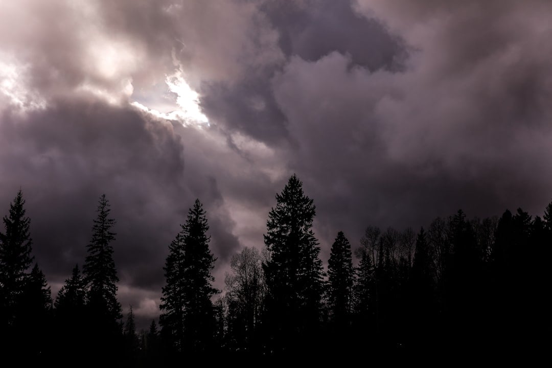 Why the Northern Hemisphere Is Darkening Faster (Image Credits: Unsplash)