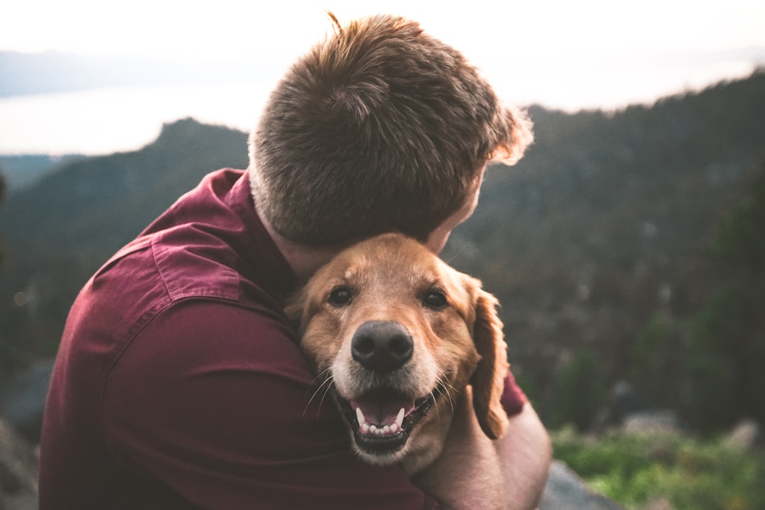 I Know How Much You Loved Me (Image Credits: Unsplash)