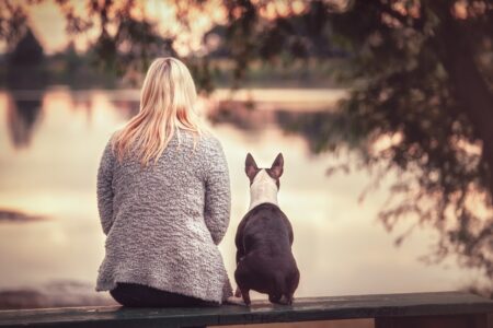 What Your Dog Would Want You To Know From Across The Rainbow Bridge