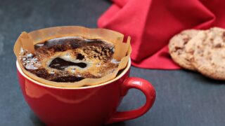 If Coffee Was an Animal - Which Roast Matches Wolves, Owls, or Foxes?