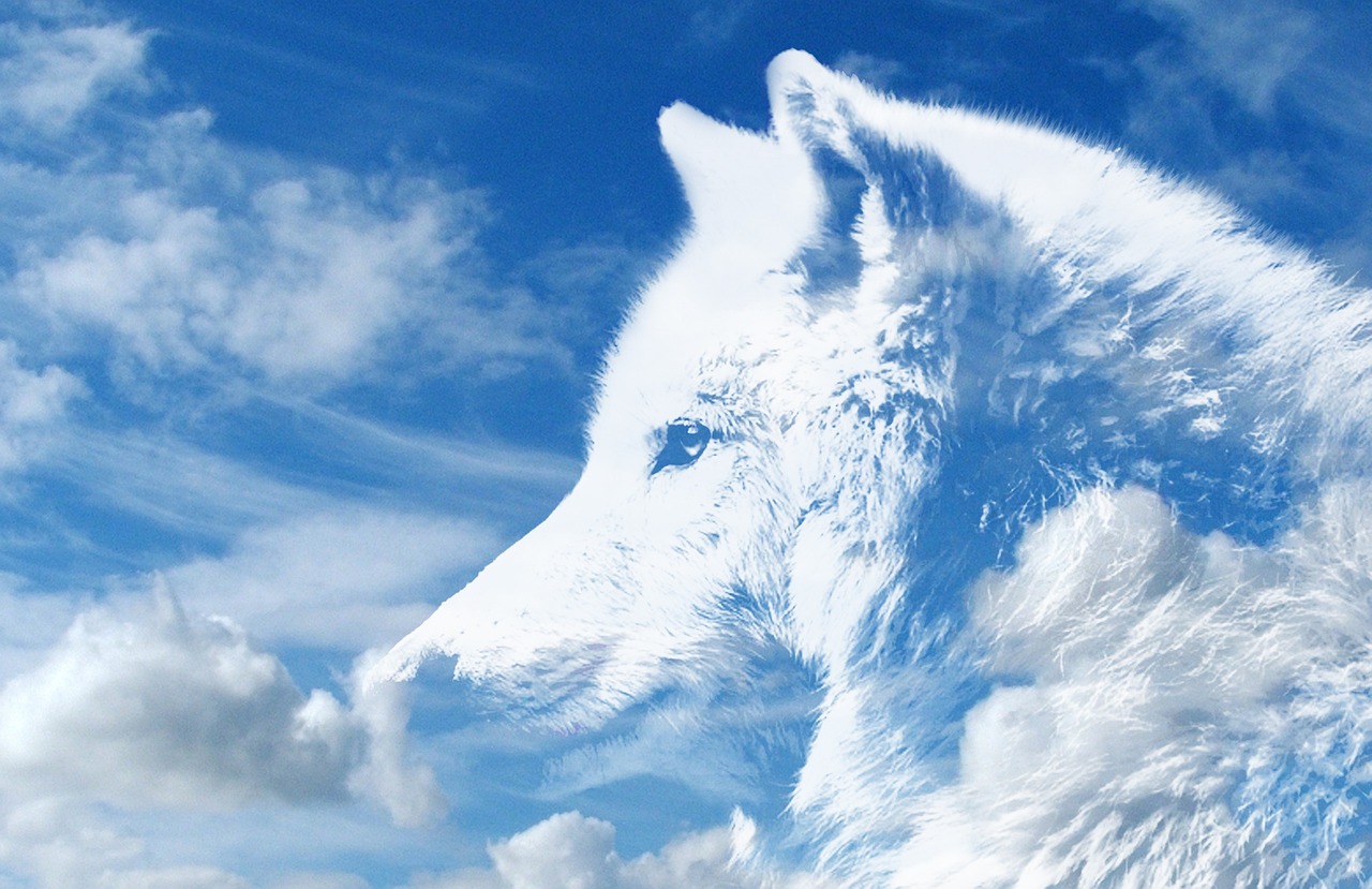 Animals as Spirit Guides (Image Credits: Pixabay)