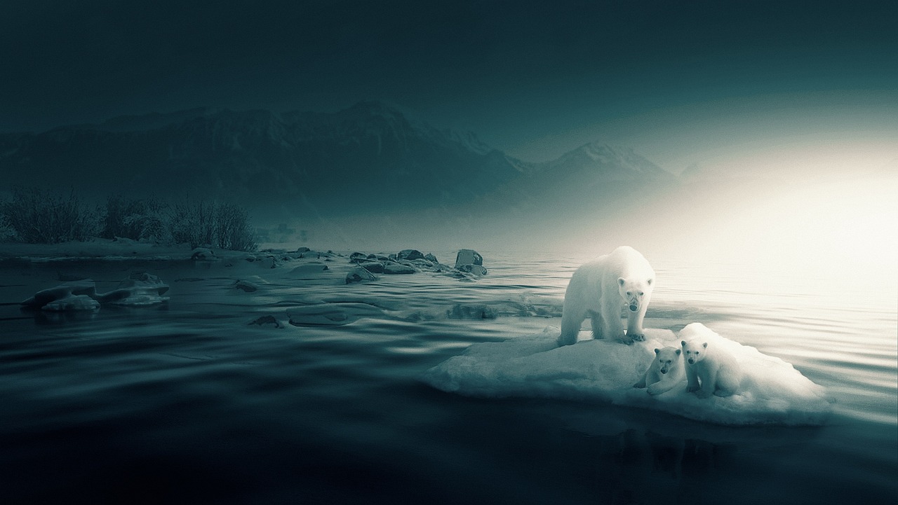 The Polar Bear - Leonardo DiCaprio (Image Credits: Pixabay)