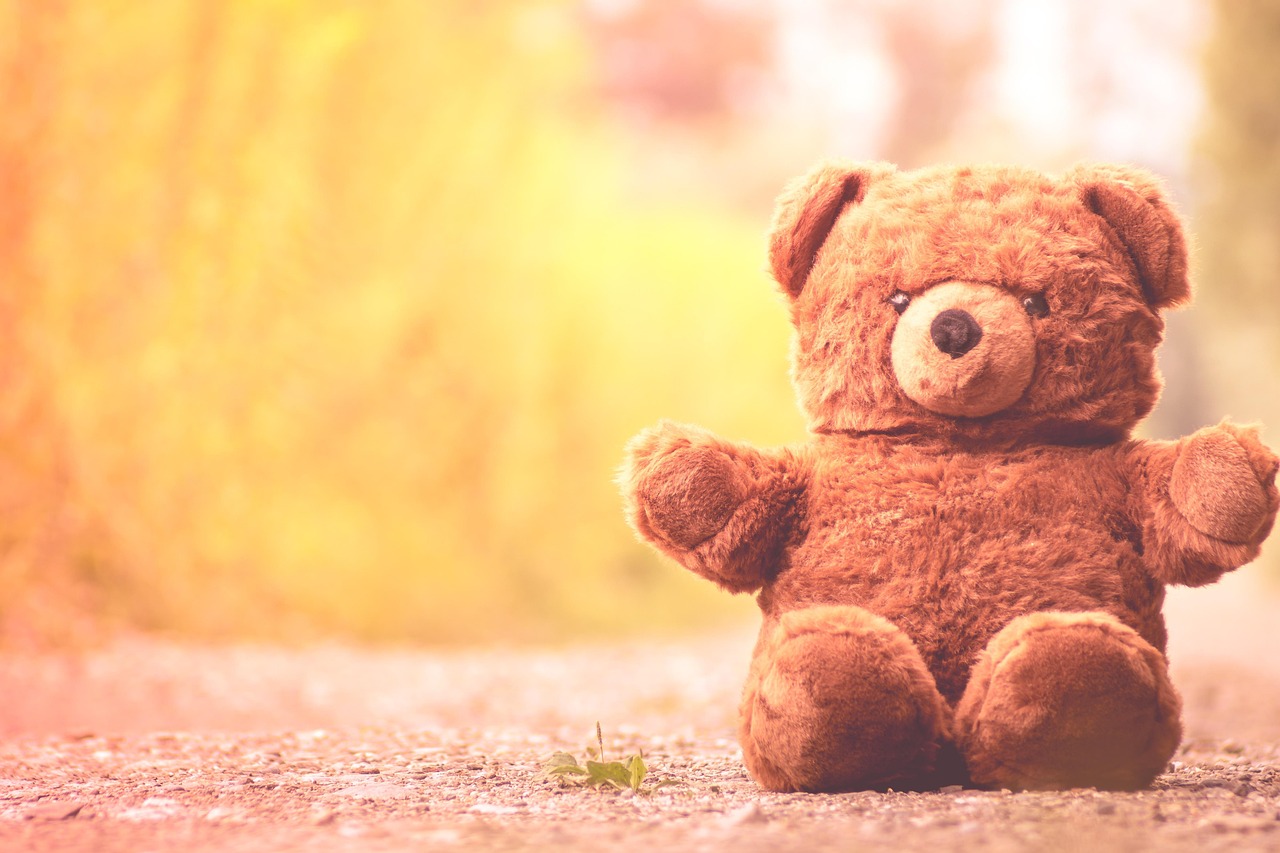 The Teddy Bear - Ryan Reynolds (Image Credits: Pixabay)