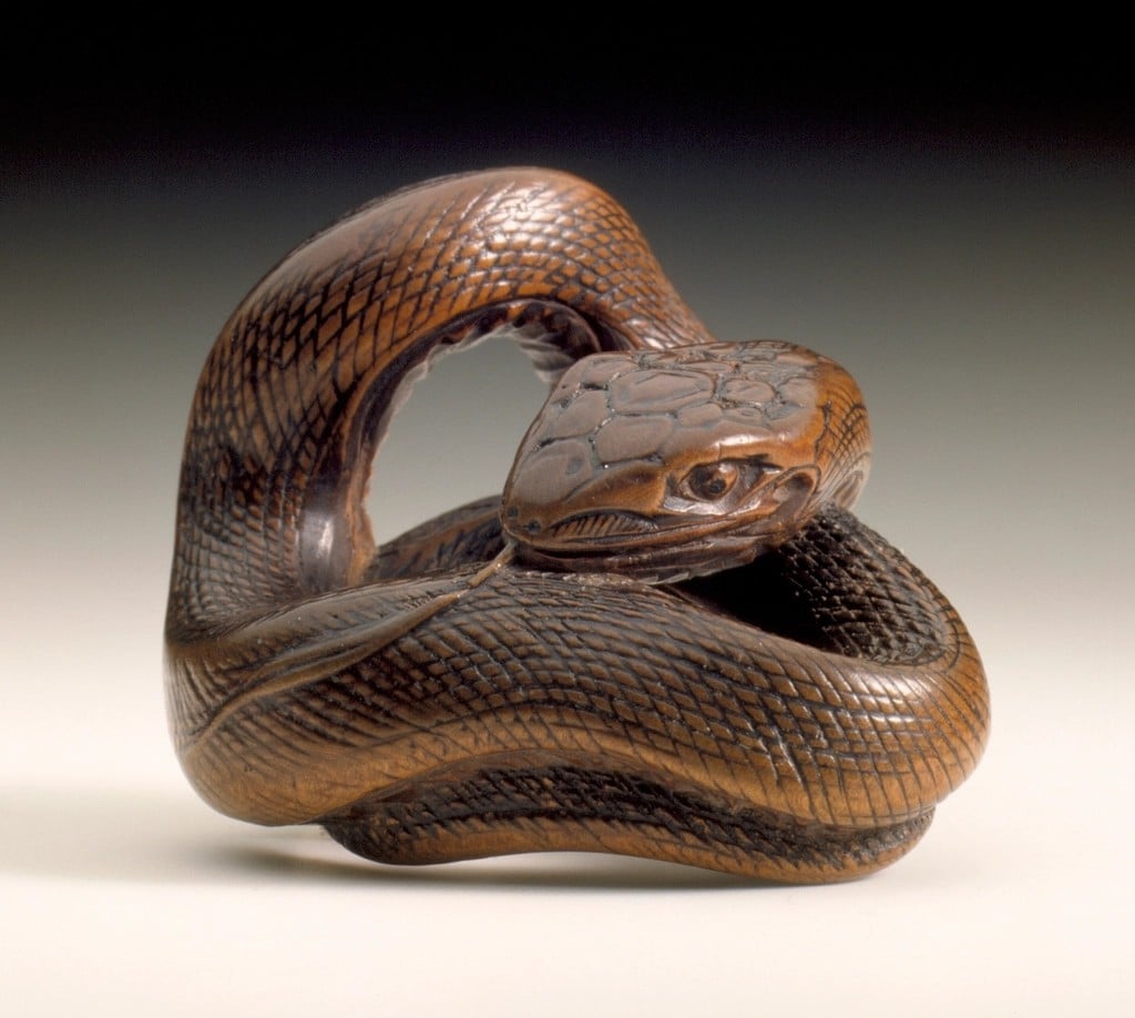 The Snake's Influence on Our Animal Choices (Image Credits: Rawpixel)