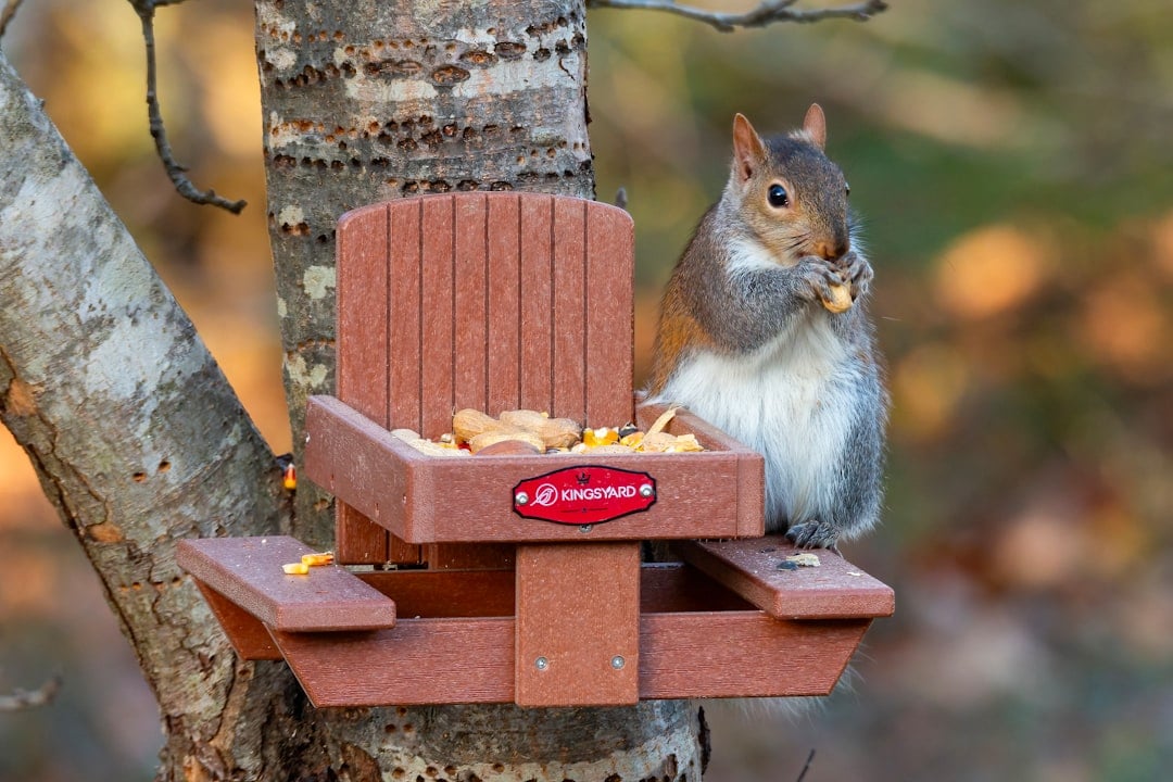 Creating Alternative Food Sources (Image Credits: Unsplash)