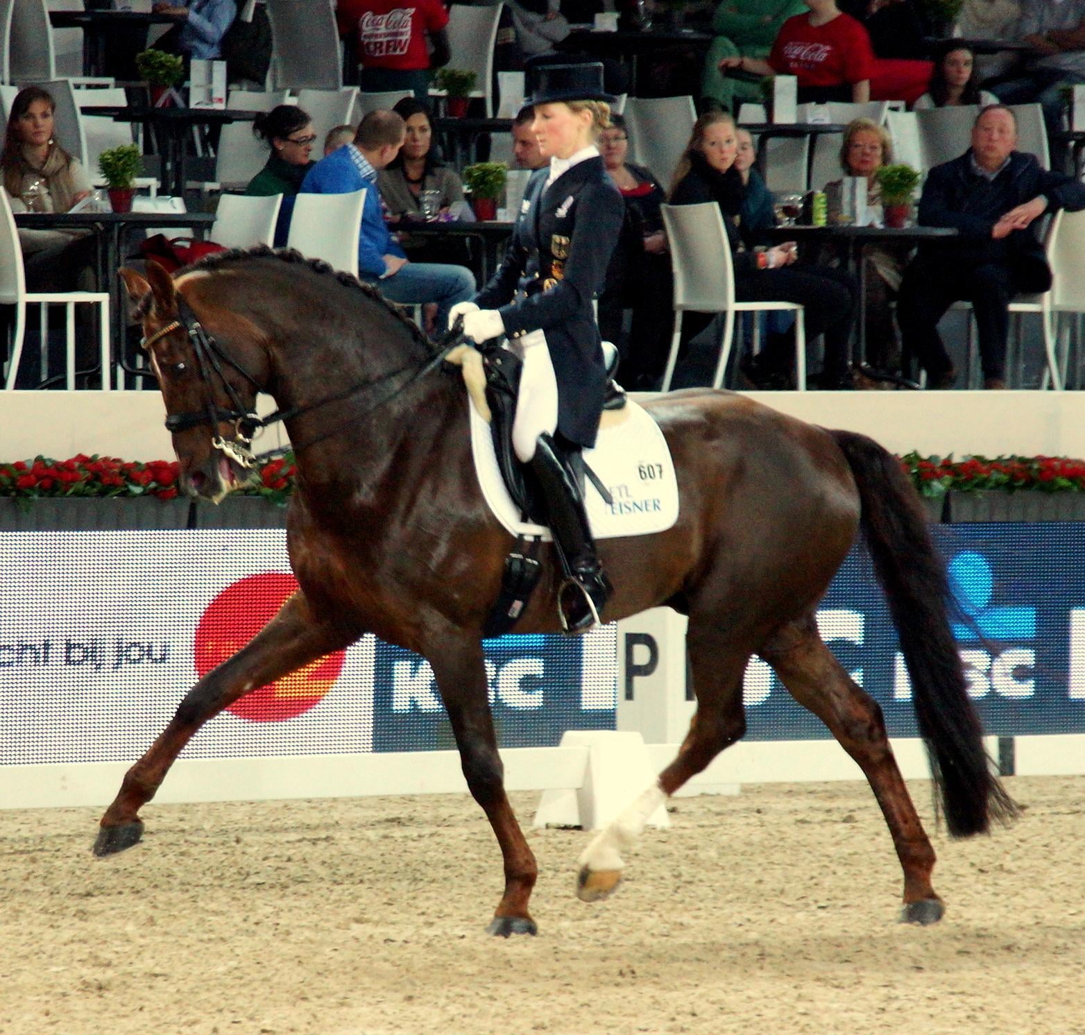 Libra: The Graceful Hanoverian (Image Credits: Wikimedia)