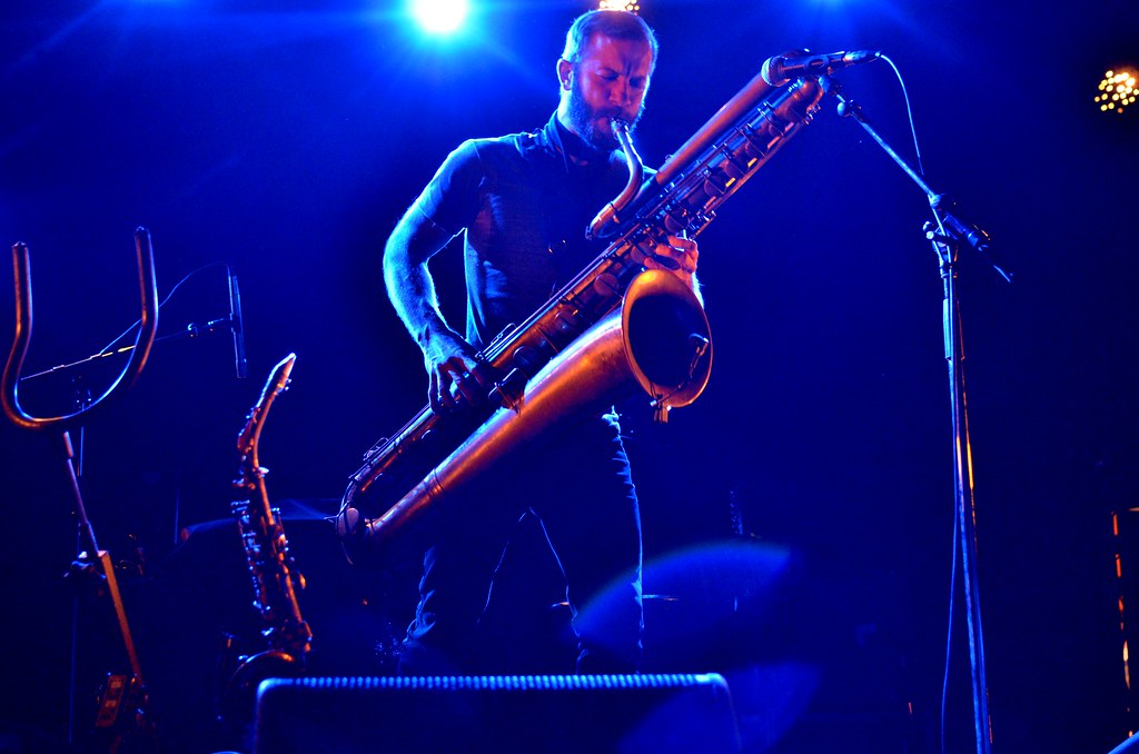 The Musical Truth: Understanding Our Animal Nature (Image Credits: Flickr)