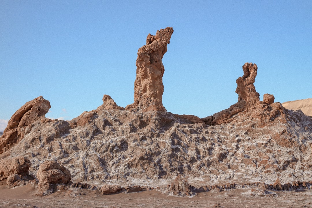 10. Magnetic Termites Building Cities with Built-in Compass Technology (Image Credits: Unsplash)