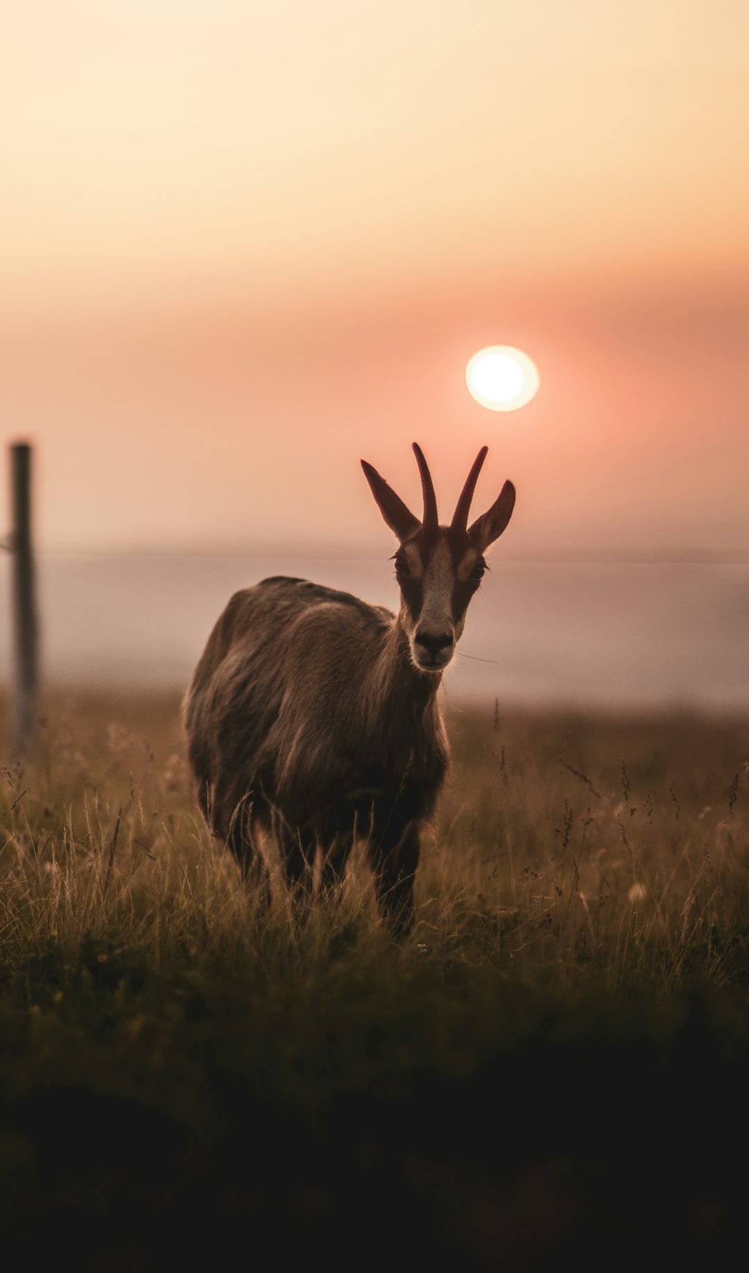Conclusion (Image Credits: Unsplash)