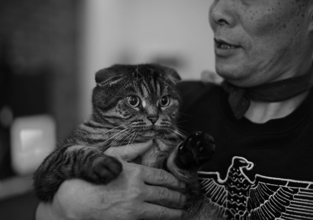 The Perfect Pet for Senior Lifestyles (Image Credits: Unsplash)