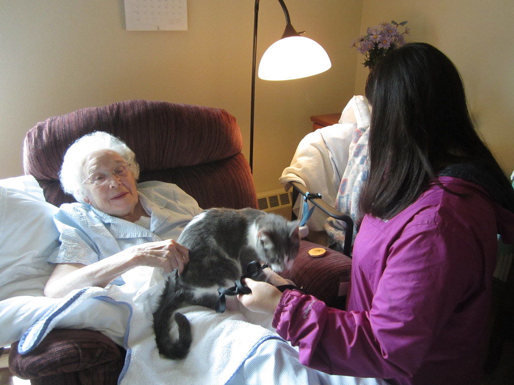 Social Connections Through Feline Friendship (Image Credits: Flickr)