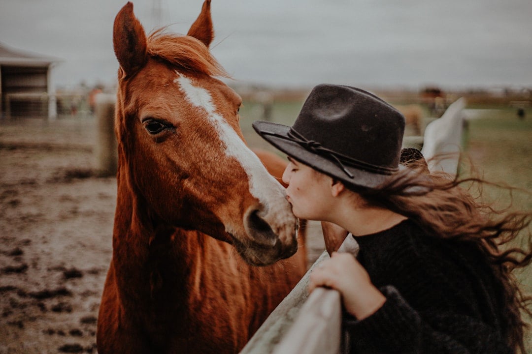 The Profound Connection Between Horses and Human Emotions (Image Credits: Unsplash)