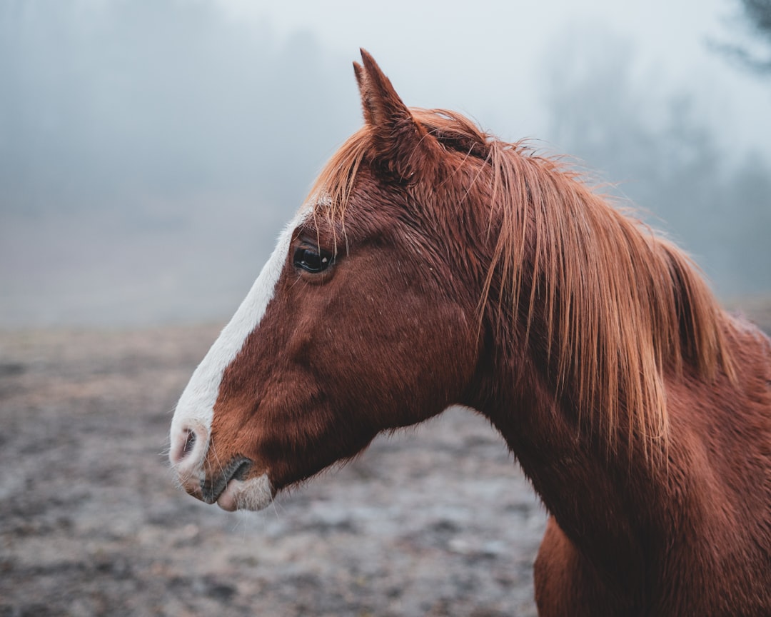 Conclusion: The Future of Emotional Healing (Image Credits: Unsplash)