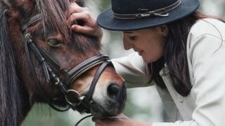 Equine Therapy: How Horses Help Heal Emotional Wounds