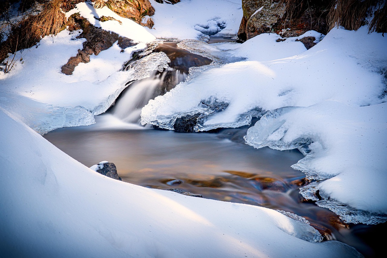 The Surprise Twist: When Ice Caused Mass Extinction (Image Credits: Pixabay)