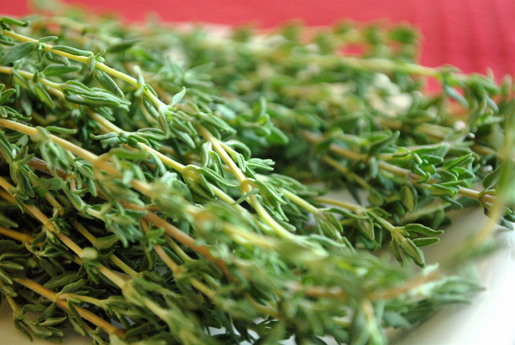 Thyme (Image Credits: Flickr)