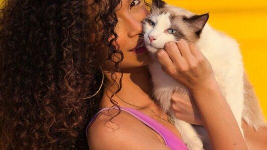 8 Sweet Words That Make Your Cat Feel Loved