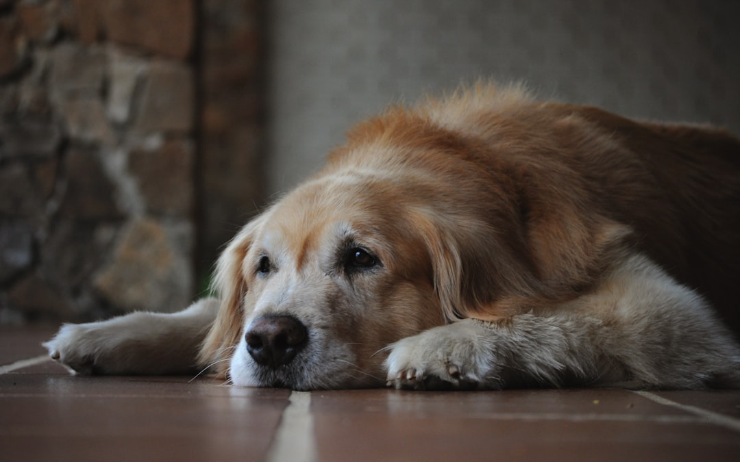 Loss of Appetite and Interest in Food (Image Credits: Unsplash)