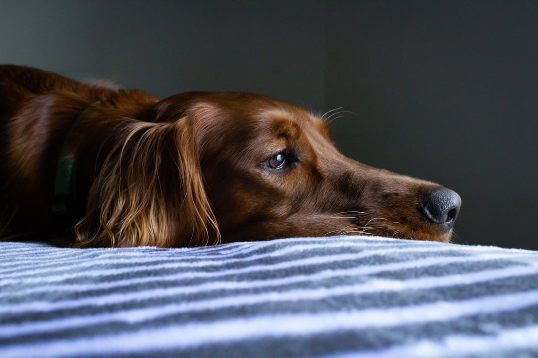 Withdrawal from Social Interaction and Activities (Image Credits: Unsplash)