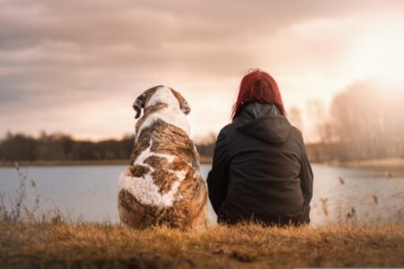 8 Signs Your Dog Gives You When It&rsquo;s Time To Cross The Rainbow Bridges