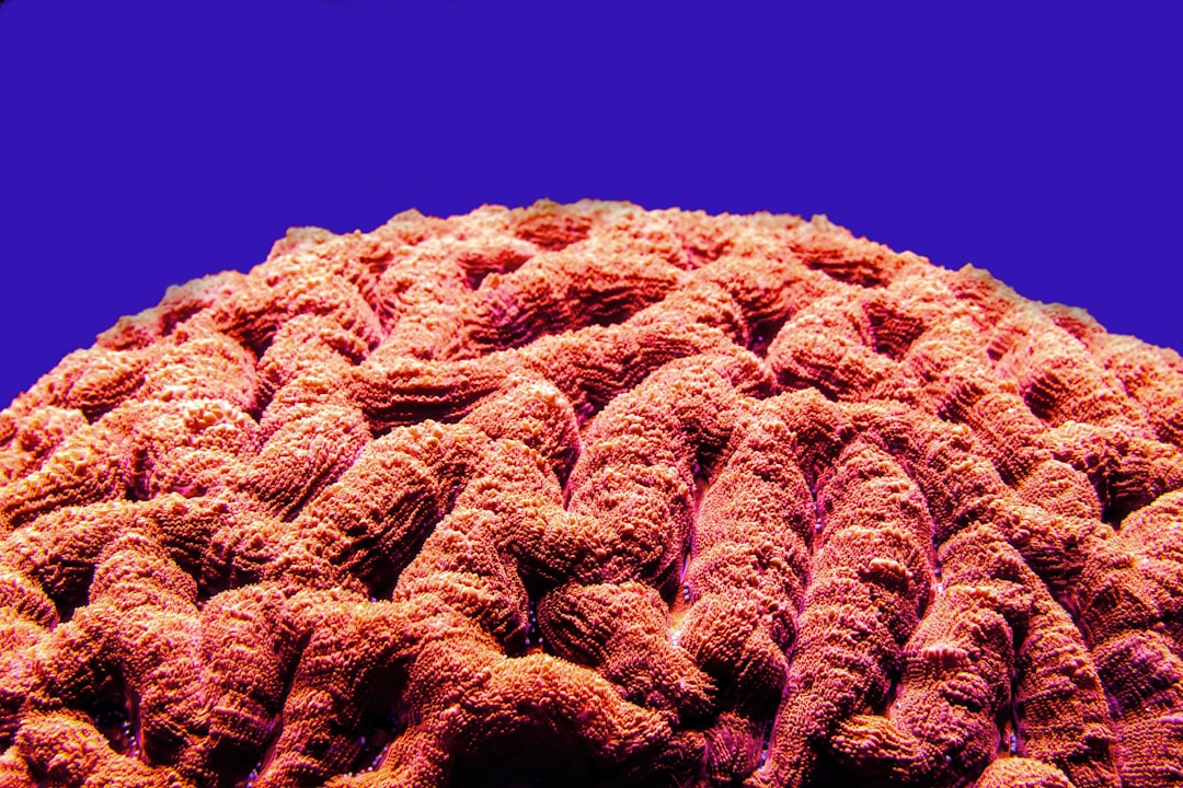 The Revolutionary Crossbreeding Programs (Image Credits: Unsplash)
