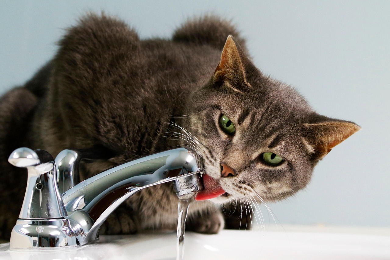 Running Water Worship (Image Credits: Pixabay)