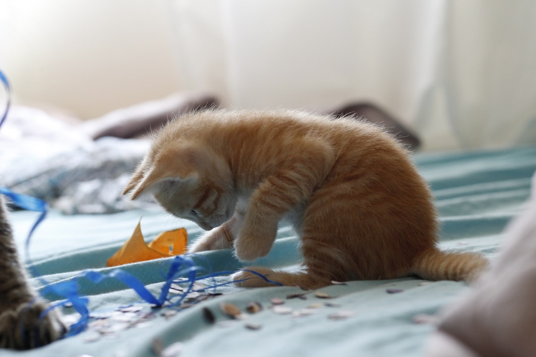 Interactive Hunting Play Sessions (Image Credits: Unsplash)