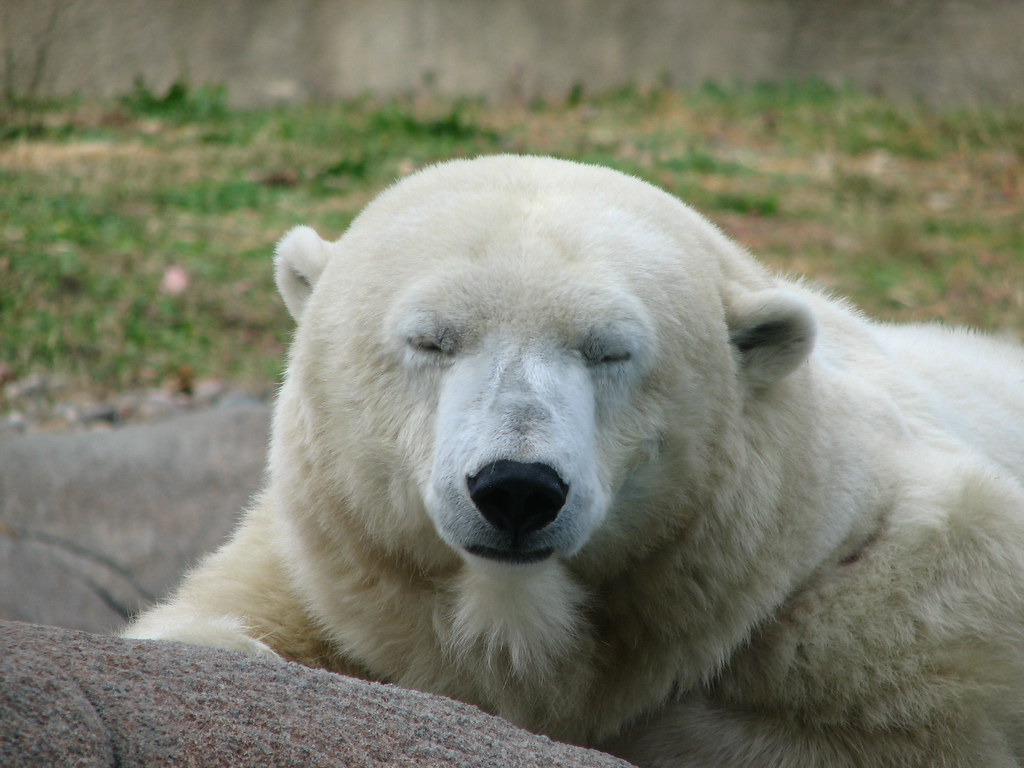 Deep Thinking and Listening Habits (Image Credits: Flickr)