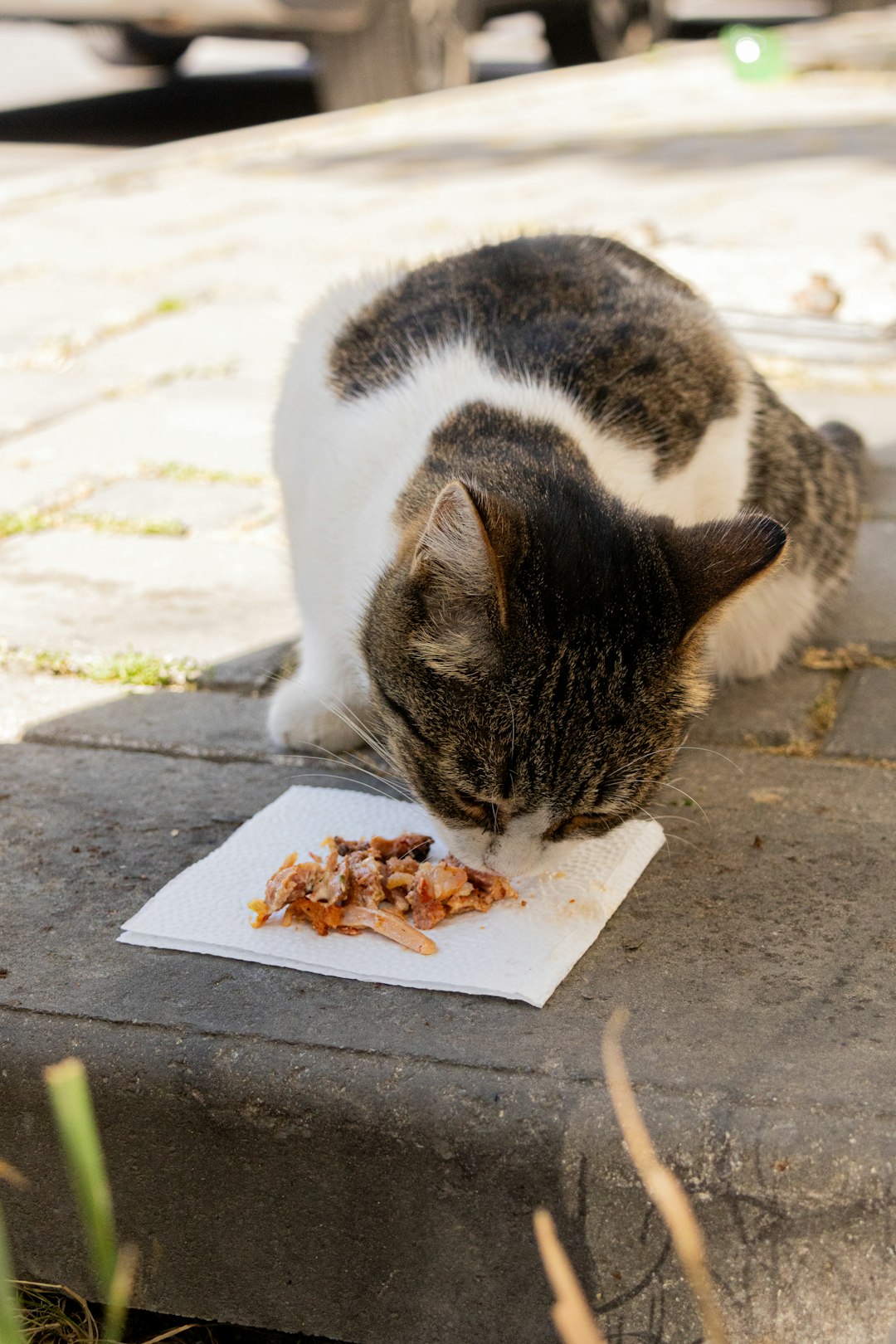 A Never-Ending Feast of Gourmet Delicacies (Image Credits: Unsplash)