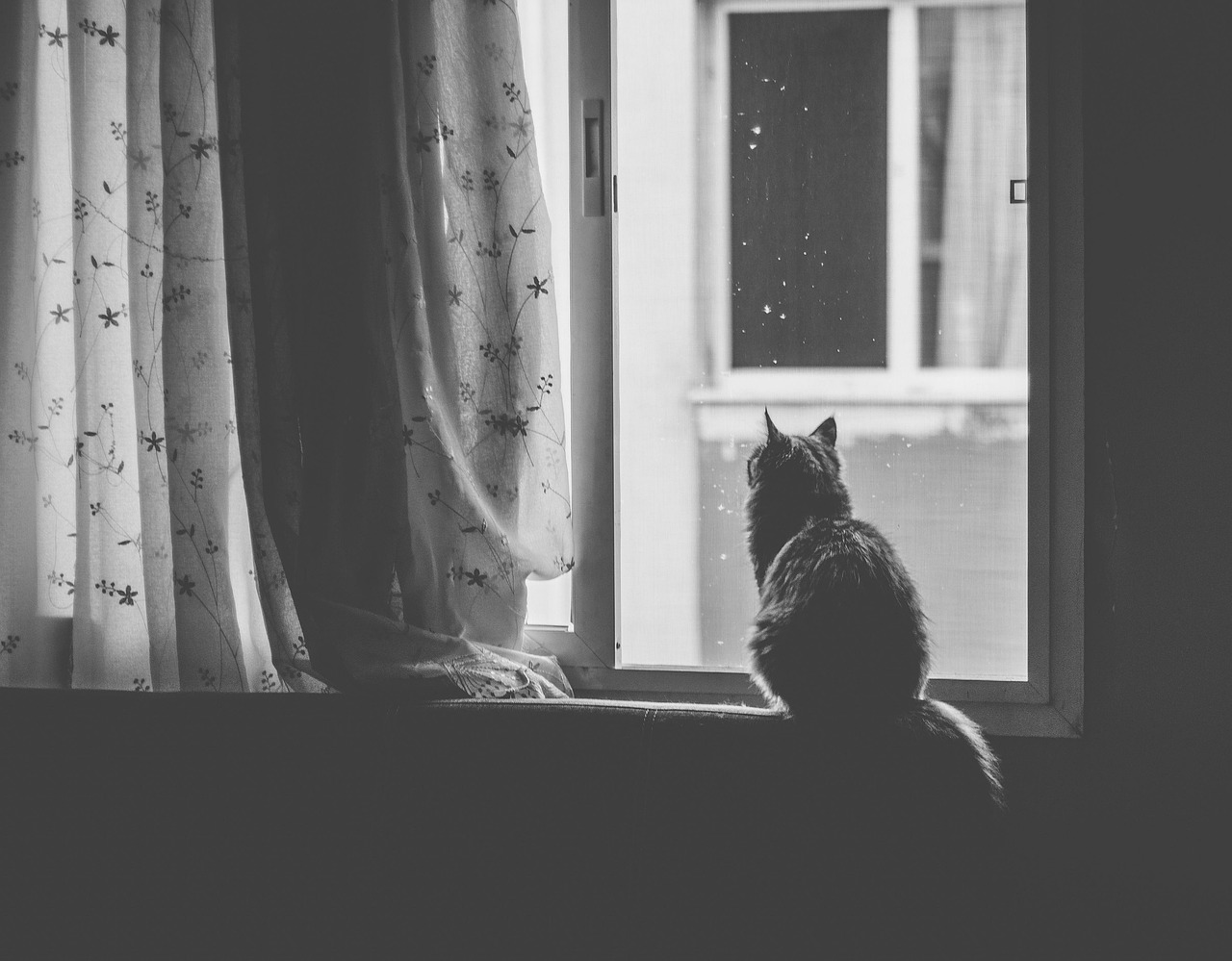 Control Over All Window Views (Image Credits: Pixabay)