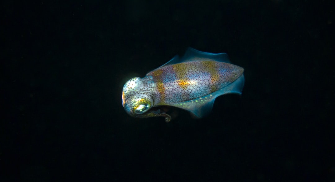October: Tourmaline and the Color-Changing Cuttlefish (Image Credits: Unsplash)