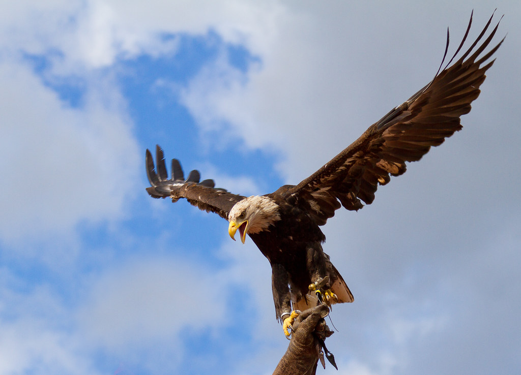 Sacred Traditions Continue (Image Credits: Flickr)