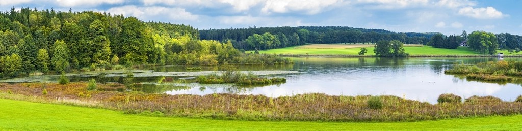 Carolina Wetland Systems Under Climate Pressure (Image Credits: Rawpixel)