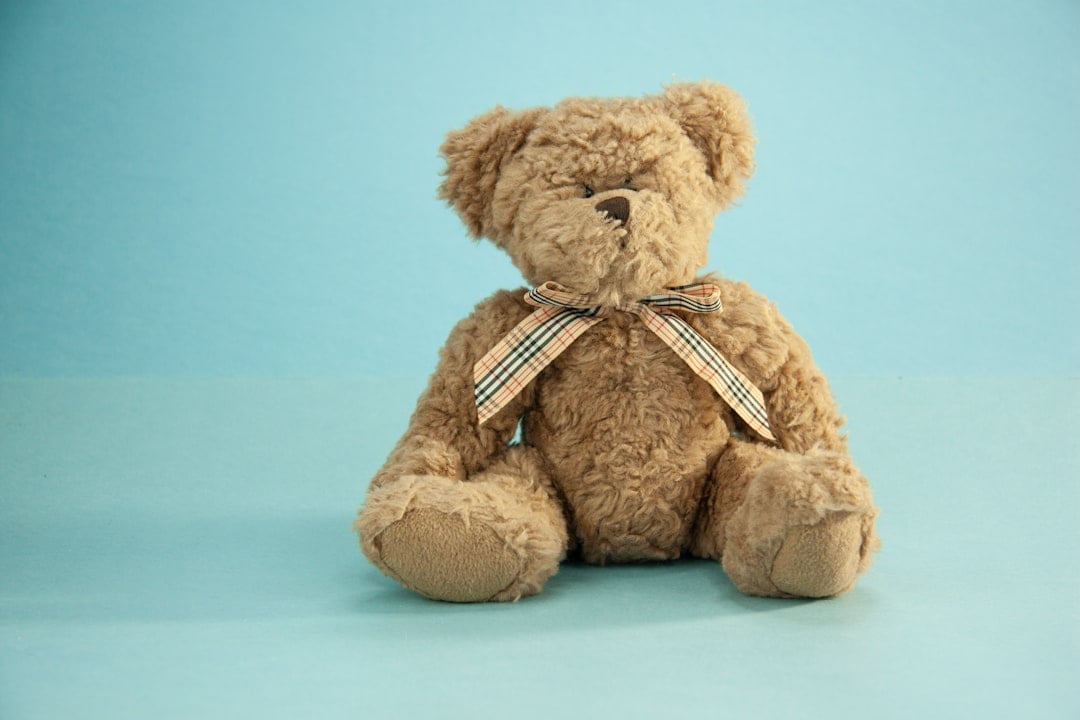 ESFJ - The Teddy Bear: The Caring Consul (Image Credits: Unsplash)