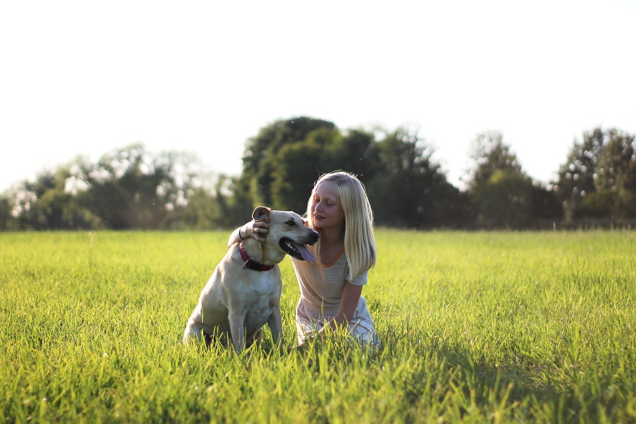The Physical Touch Lovers: Breeds for Affectionate Souls (Image Credits: Pixabay)