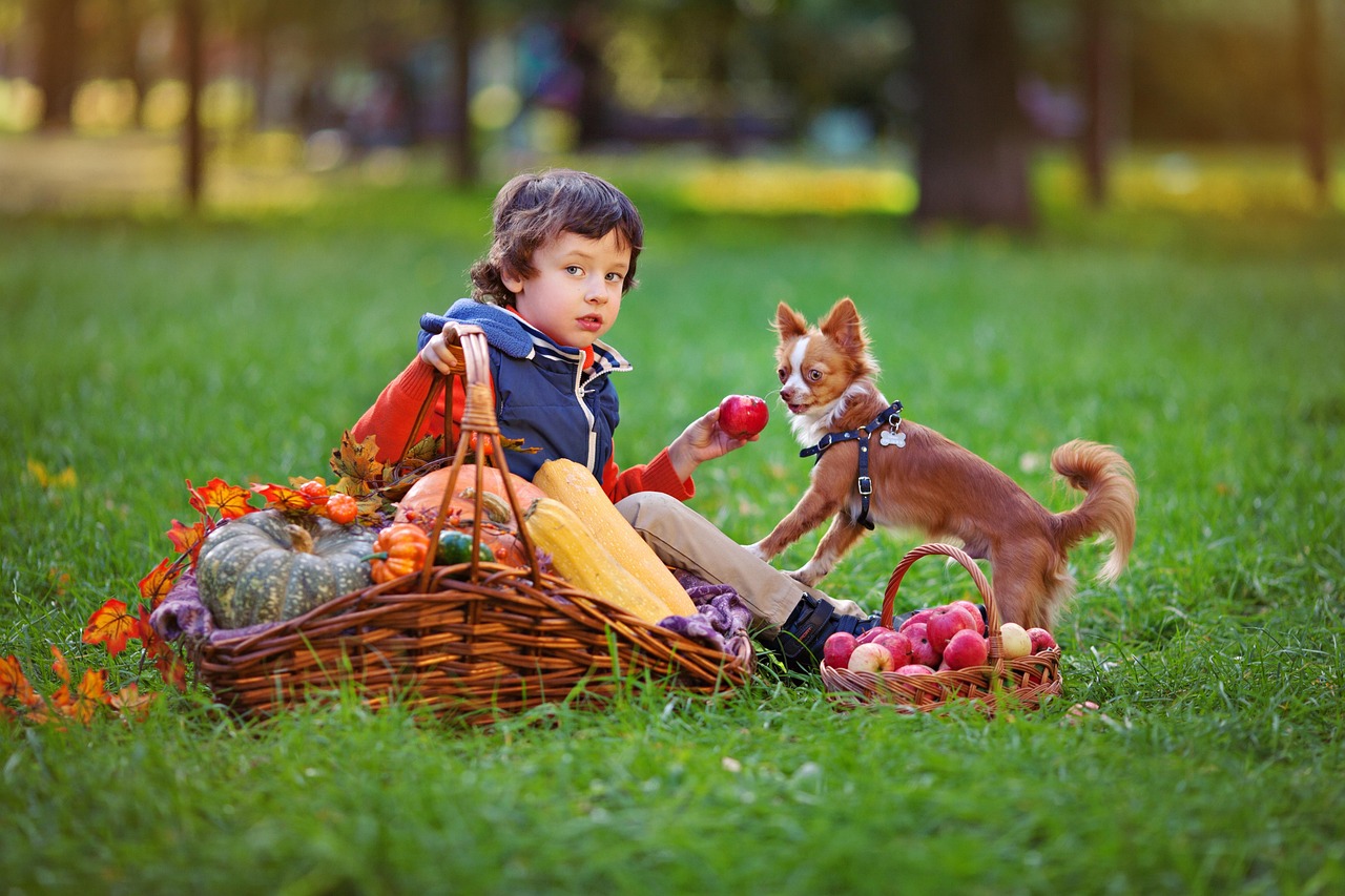 Acts of Service Appreciators: Breeds for Helpful Hearts (Image Credits: Pixabay)