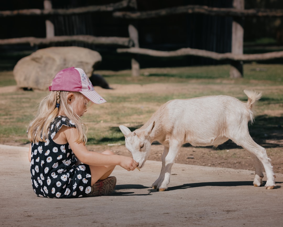 Conclusion (Image Credits: Unsplash)
