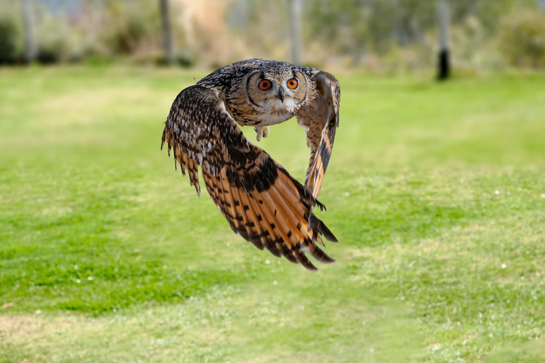 The Evolutionary Marvel of Stealth Predation (Image Credits: Unsplash)