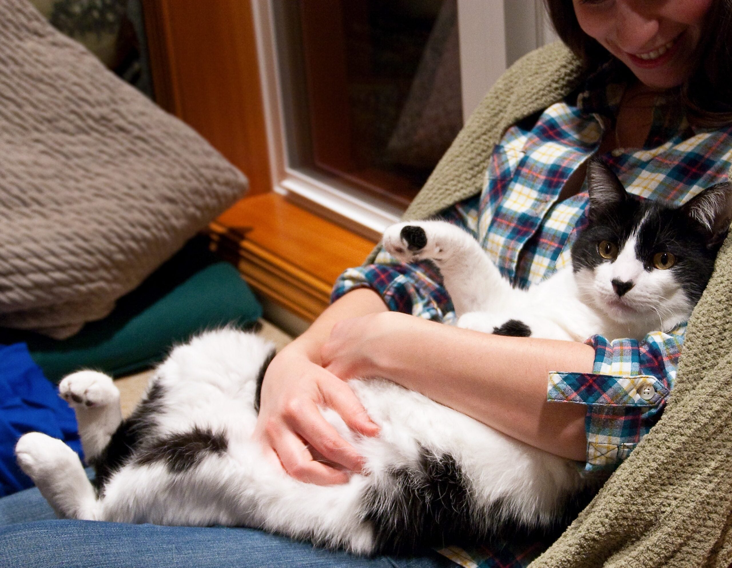Your Cat Sleeps Next to You (Image Credits: Wikimedia)
