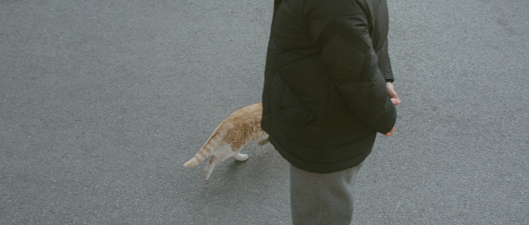 They Follow You Around (Image Credits: Unsplash)