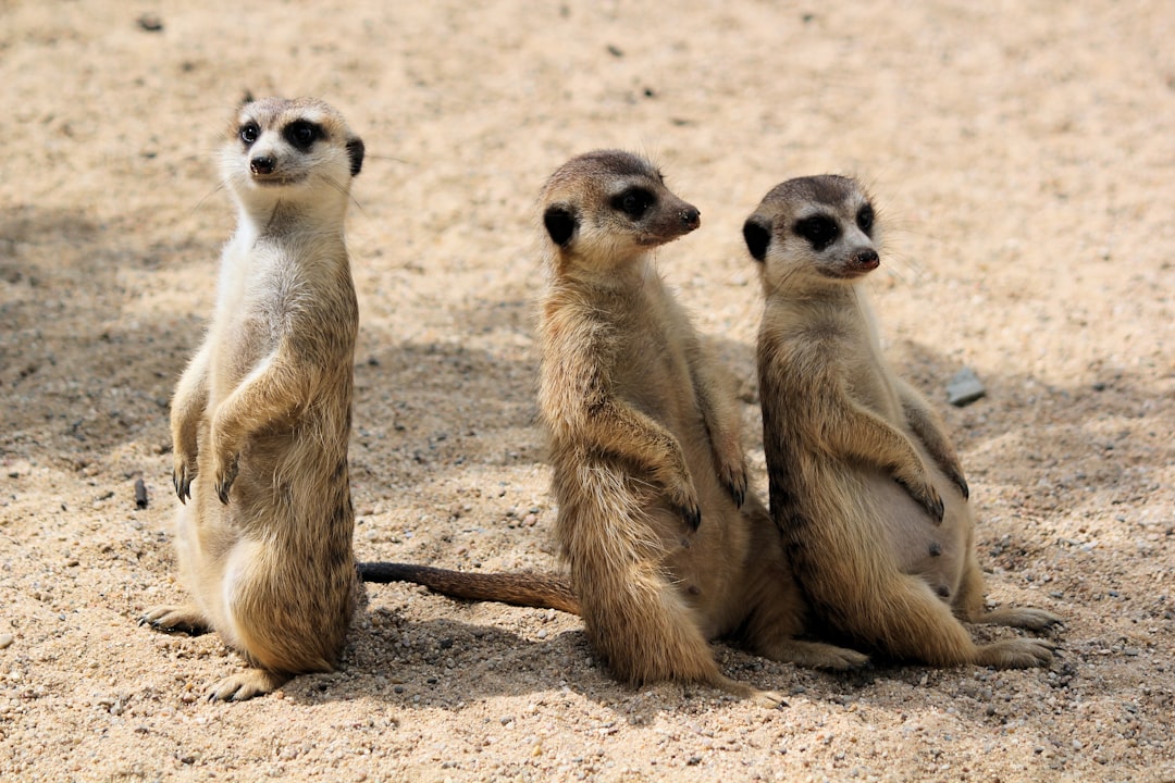 Evolutionary Marvels: Creatures Built for Extreme Survival (Image Credits: Unsplash)
