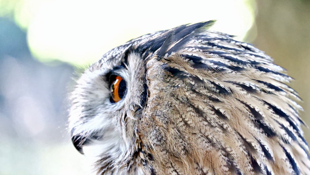 Hidden Predator Networks: The Desert's Secret Food Webs (Image Credits: Unsplash)