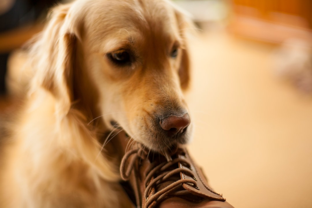 Stealing Your Scent (Image Credits: Unsplash)