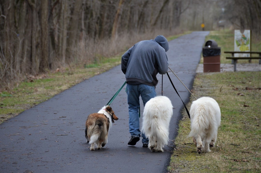 Following Your Every Move (Image Credits: Unsplash)