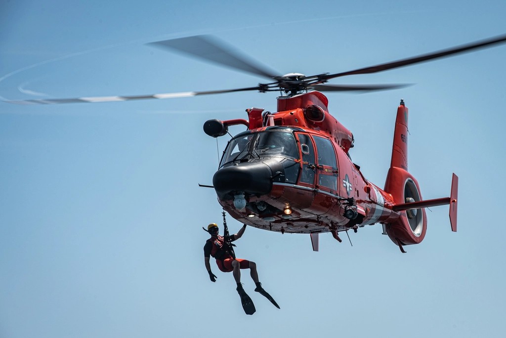 Real-Life Rescue Stories (Image Credits: Rawpixel)